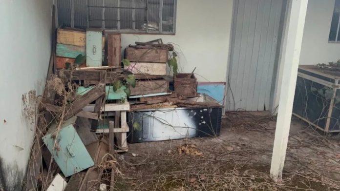 ataque-de-abelhas-deixa-idoso-ferido-e-ruas-interditadas-em-catalao