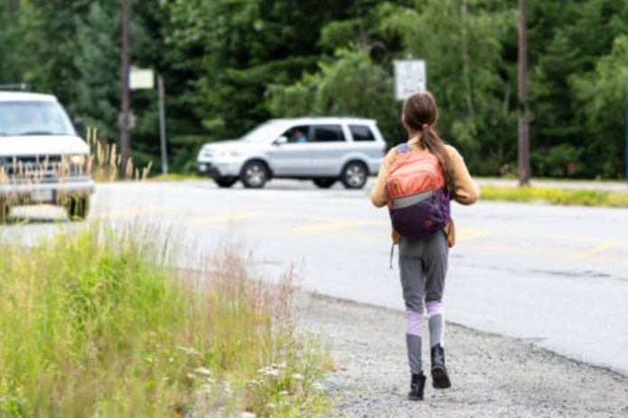 menina-de-9-anos-e-encontrada-caminhando-sozinha-as-margens-da-go-222,-em-anapolis