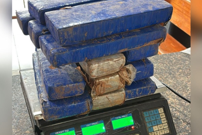 policia-encontra-9-kg-de-maconha-enterrados-em-quintal-de-casa-em-caldas-novas